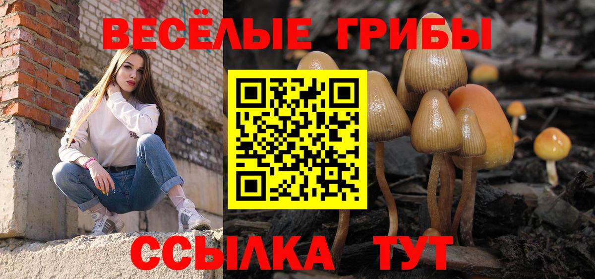 Галлюциногенные грибы Magic Shrooms Татарск