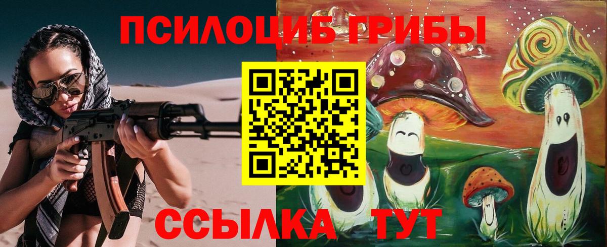 Татарск  Псилоцибиновые грибы Magic Shrooms  Вход с VPN  Псилоцибиновые грибы Magic Shrooms 